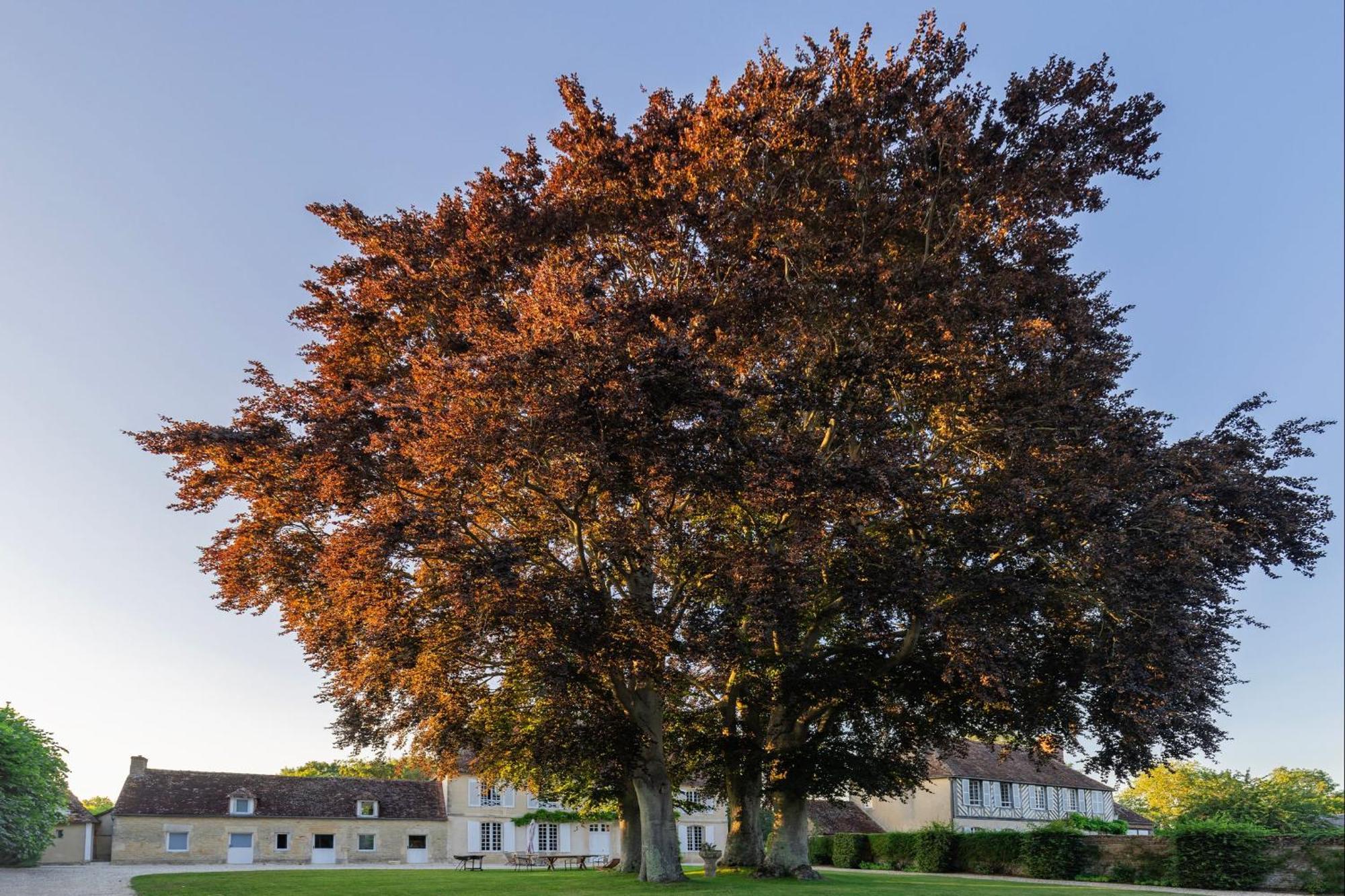 Bagatelle Avec Jardin Et Piscine Chauffee Vila Bieville-en-Auge Exterior foto